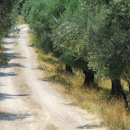Sul Colle * Moricone