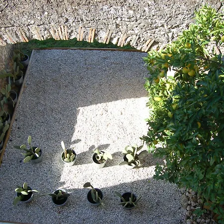 Sul Colle Moricone