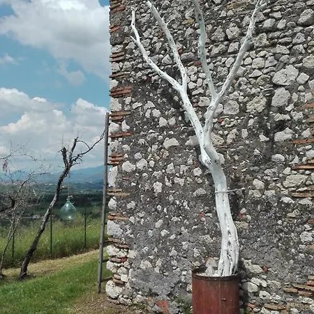 Holiday home Sul Colle *