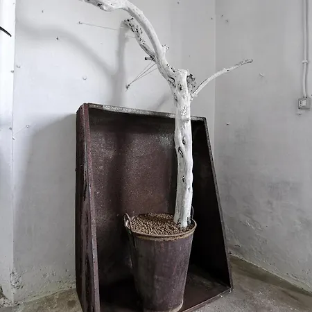 舒尔科尔度假屋 *
